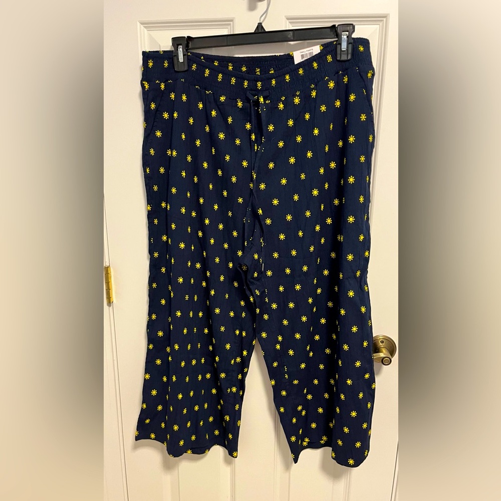 NWT Style&Co Plus 2X mid rise ankle pants. Elasticized waist with drawstring